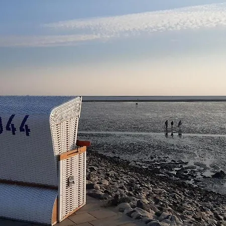 公寓 Coastal Hut No 6 Comfortable Vacation